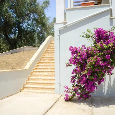 Apartment Corfu Birdhouse